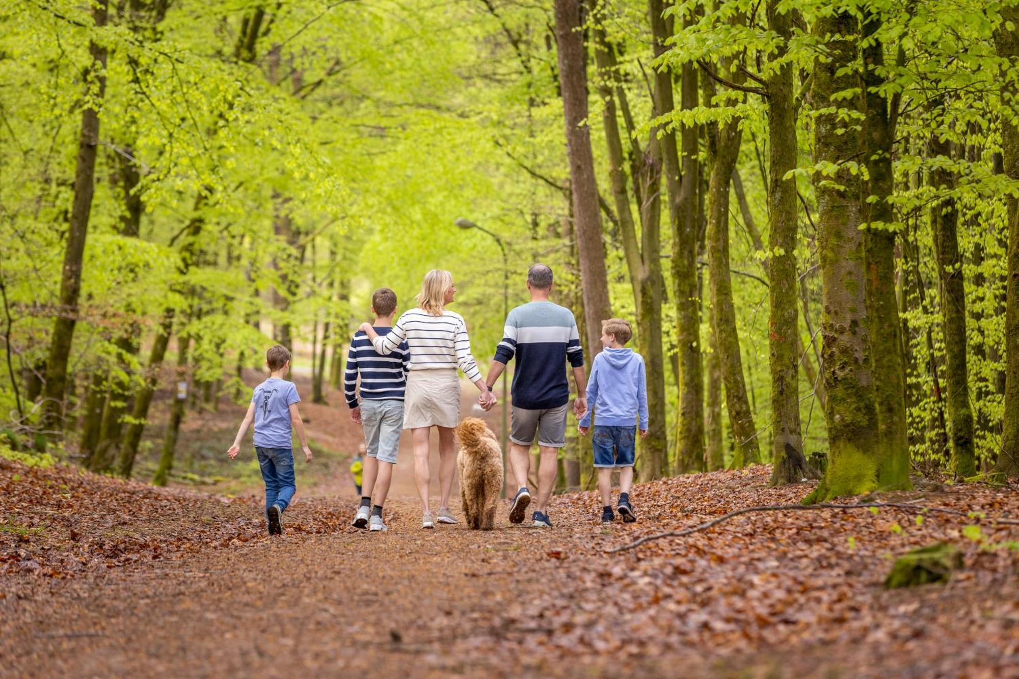 Ardennen Camping Bertrix Dış mekan fotoğraf